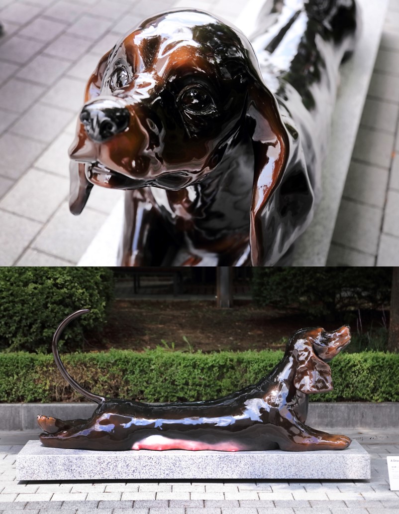 김나윤의 A Drowsy Dog 작품 이미지