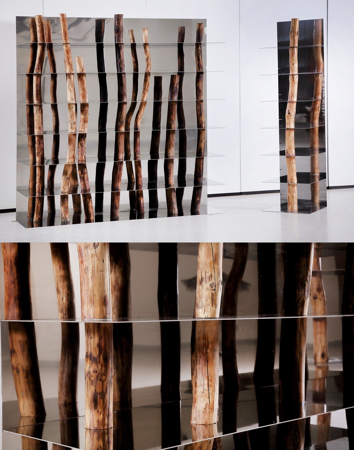 손신규의 Split Forest  작품 이미지